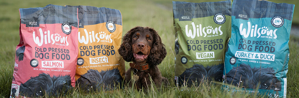 Keeping your dog fuelled for adventures