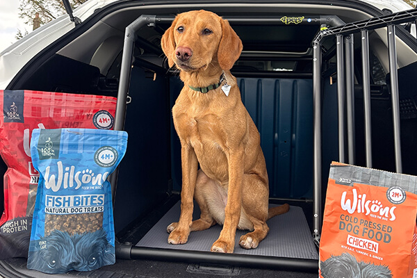 Keeping your dog fuelled for adventures