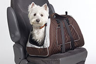 Car Small Pet Carriers
