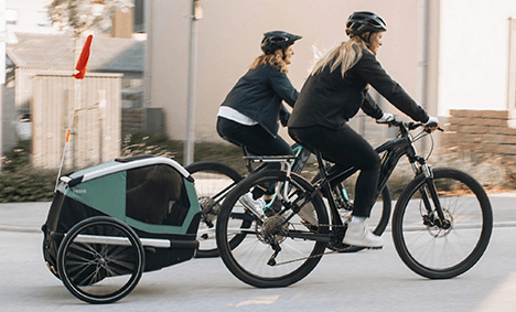 Dog Trailers