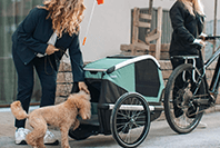 Dog Trailers