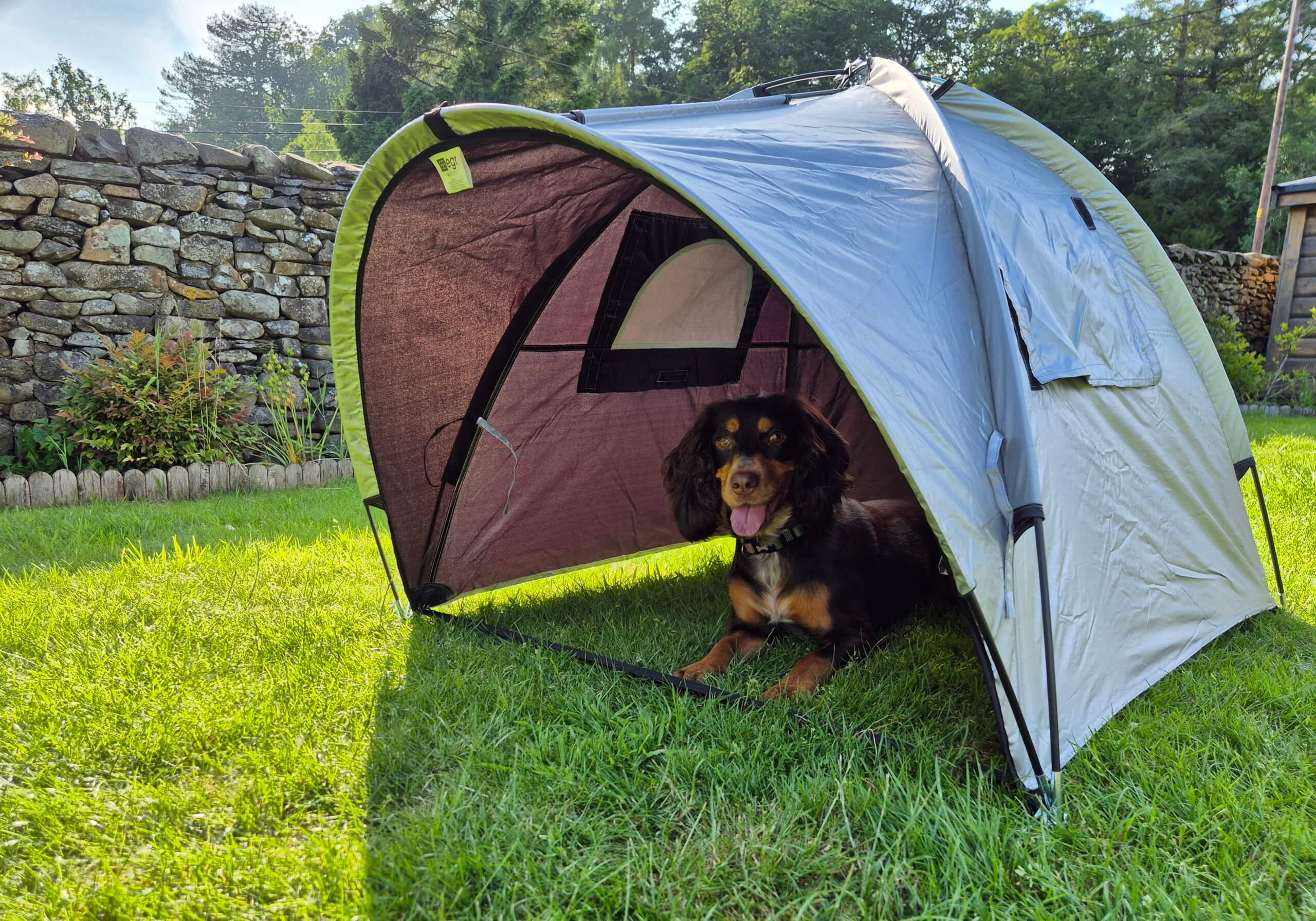 Petego EB Rain or Shine Tent for Dog Bag small, no. SRS S