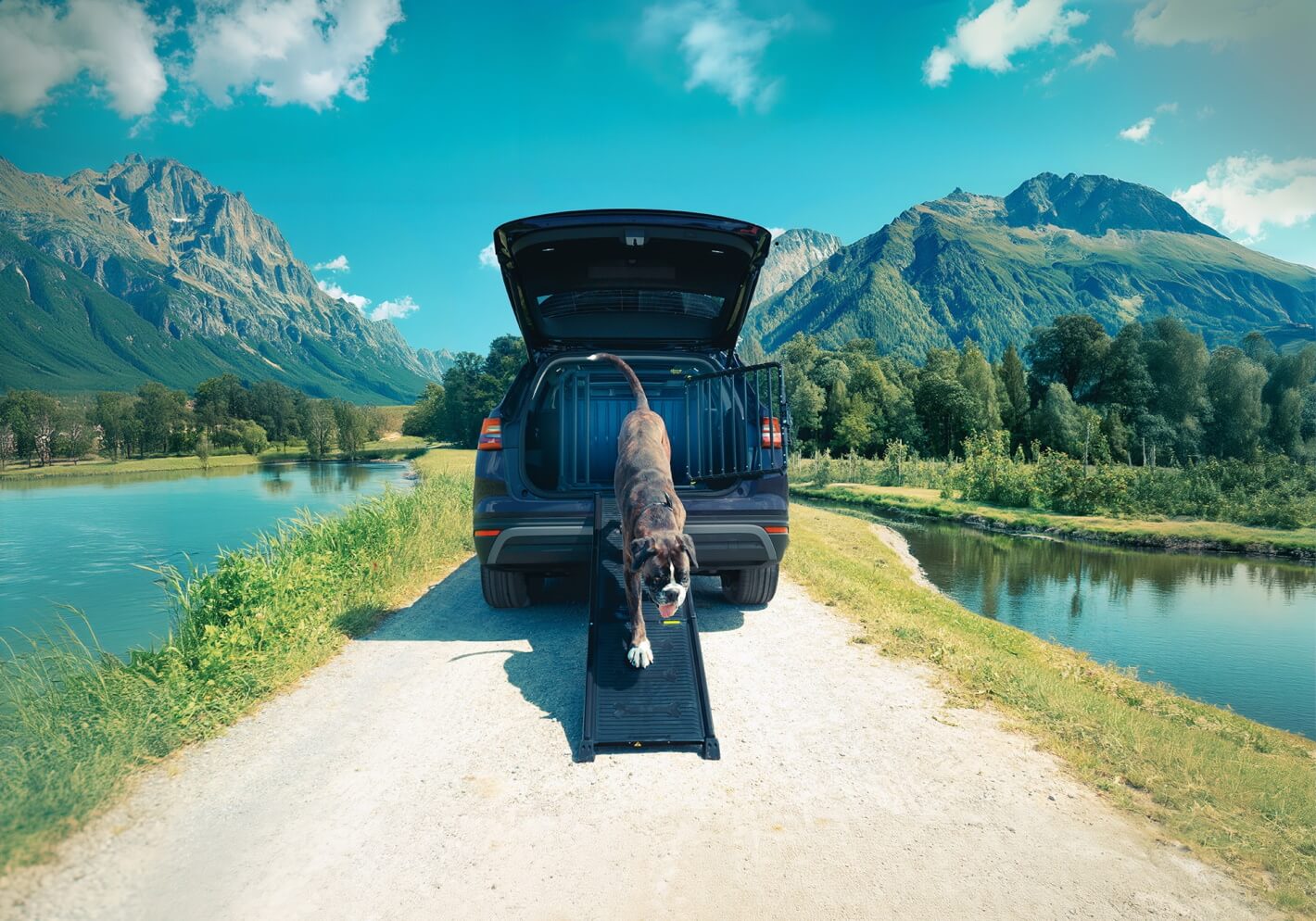 4pets-ProLine-Easy-Steps-telescopic-dog-access-ramp