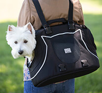 Small Pet Carriers