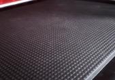 4pets floor mat for PRO 22 Medium